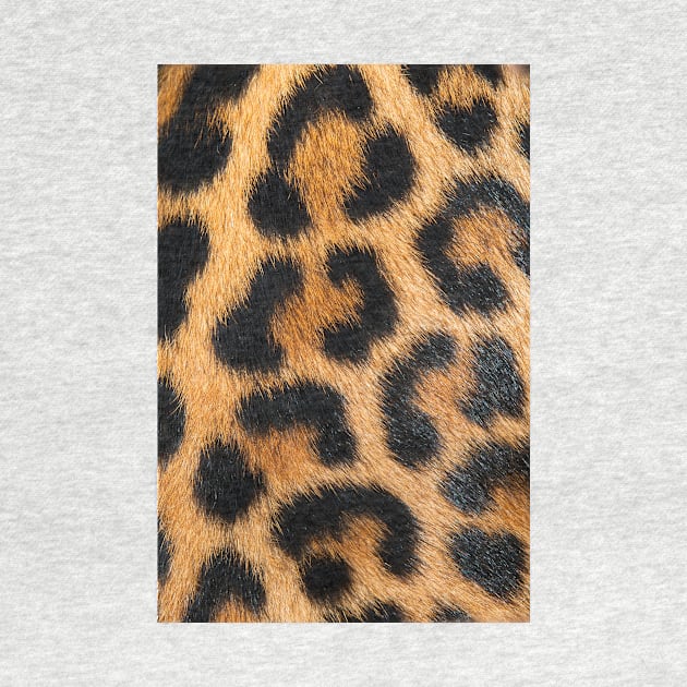 Big Leopard Print by NewburyBoutique